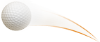 Dbosse car S.R.L